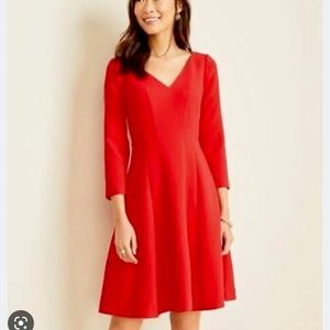 SALE❗️New w tag Ann Taylor skater dress-2p
